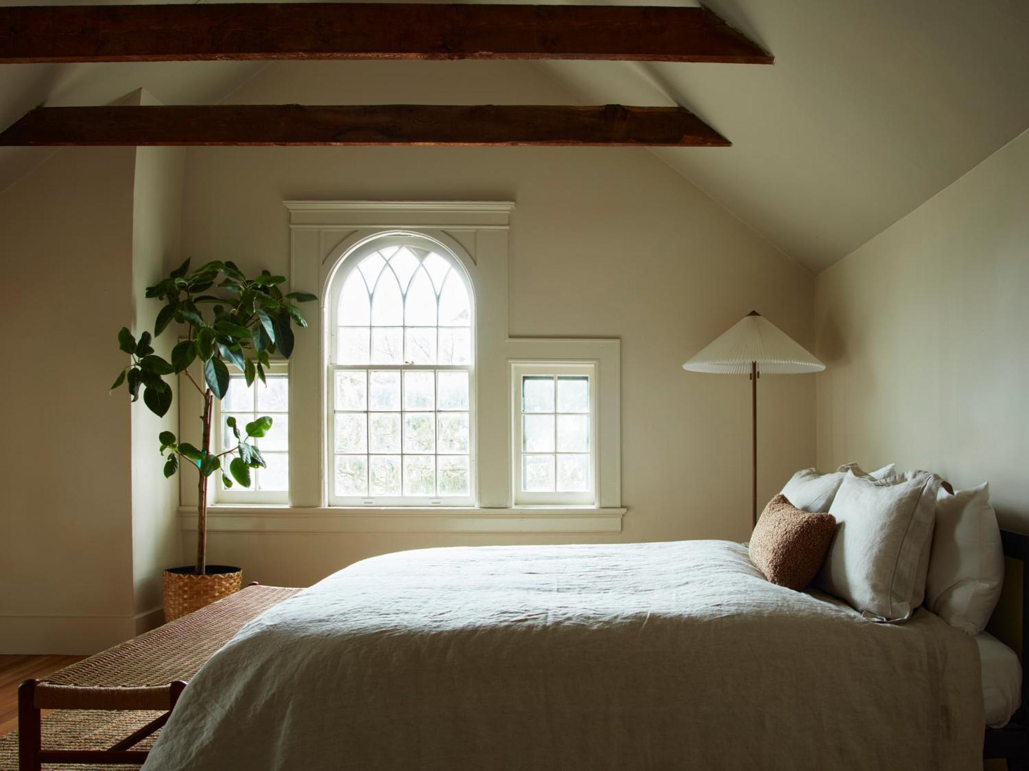 Cohouse New Haven Steps To Yale University Esterno foto